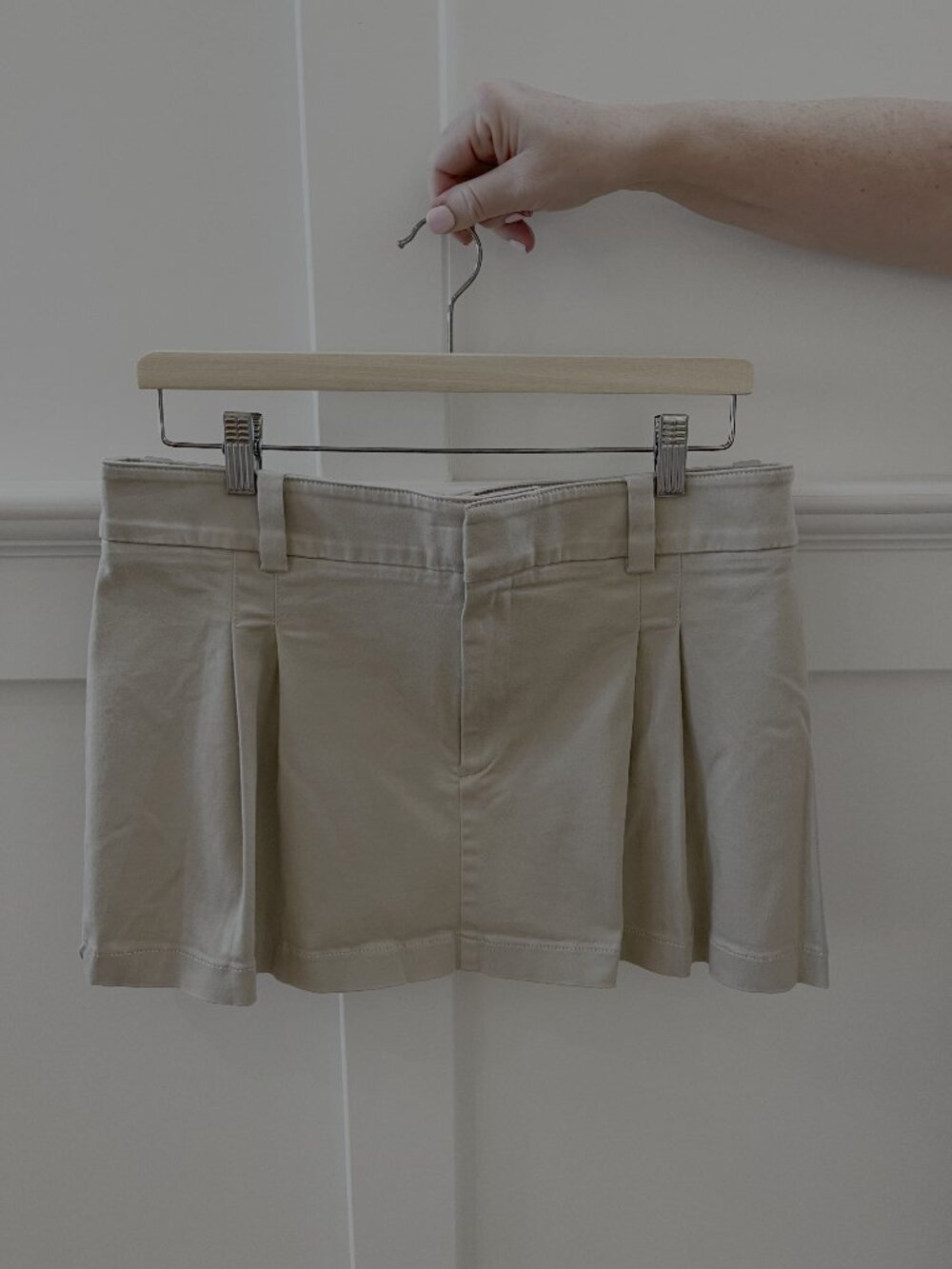 Aritzia Skirt